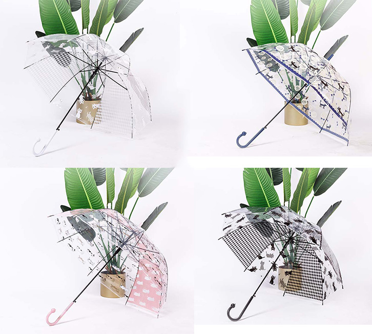 clear transparent rain umbrella